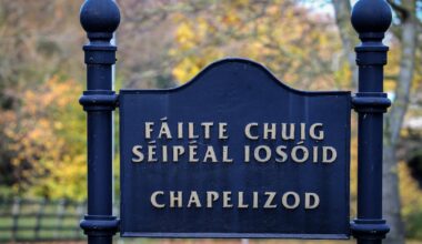 An Coimisiún Pleanála reopens appeal over Phoenix Park apartments plan – The Irish Times