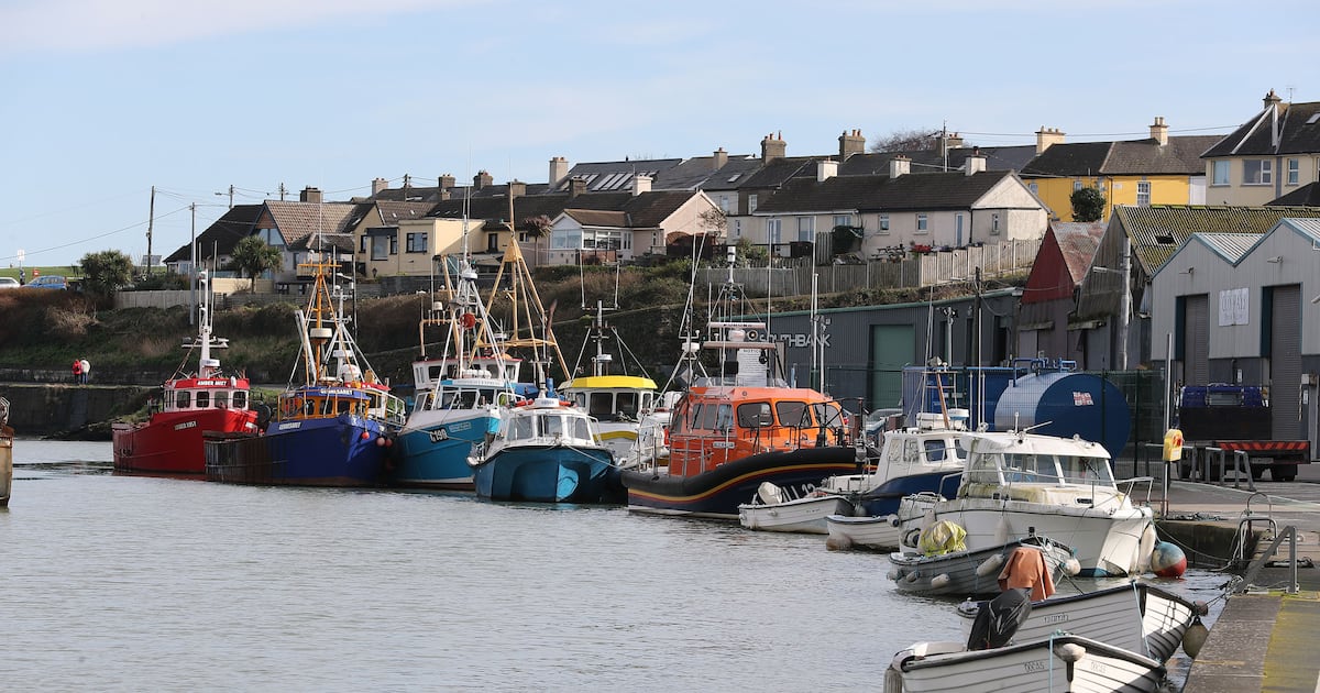 Search under way for swimmer near Wicklow harbour – The Irish Times