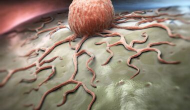 Tumor microbiota identified as predictors of prognosis in gastrointestinal cancers