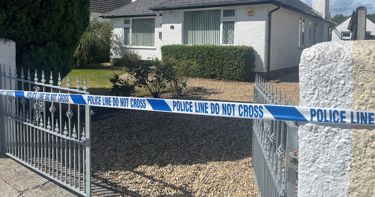 Man (41) charged with murder of pensioner Sean Small in Co Down – The Irish Times