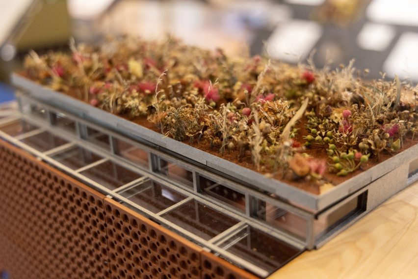Close up image of a student architectural model, featuring a plant-filled roof
