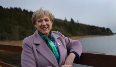 In Heather Humphreys, Fine Gael faithful think they’ve found their first president – The Irish Times