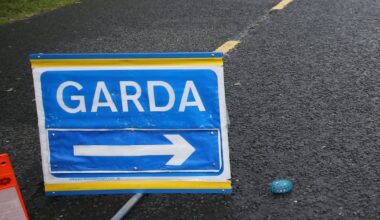 Man dies in Co Offaly collision involving crane – The Irish Times