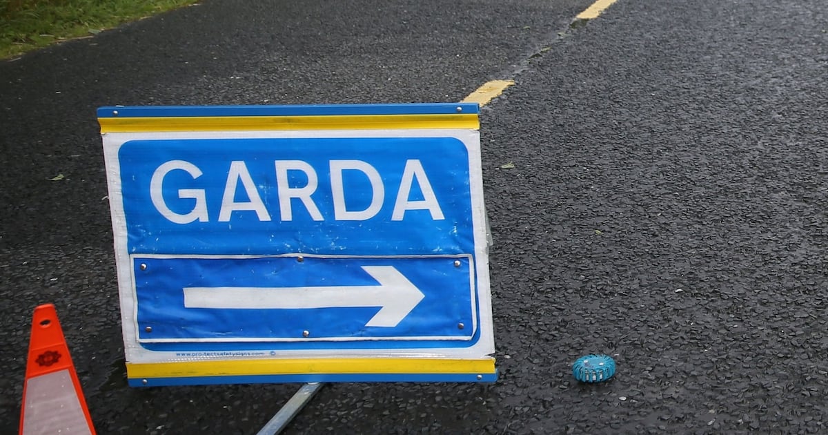 Man dies in Co Offaly collision involving crane – The Irish Times