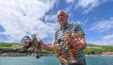 Island-hopping venture unveiled with unique perspective on Ireland’s Atlantic outposts – The Irish Times