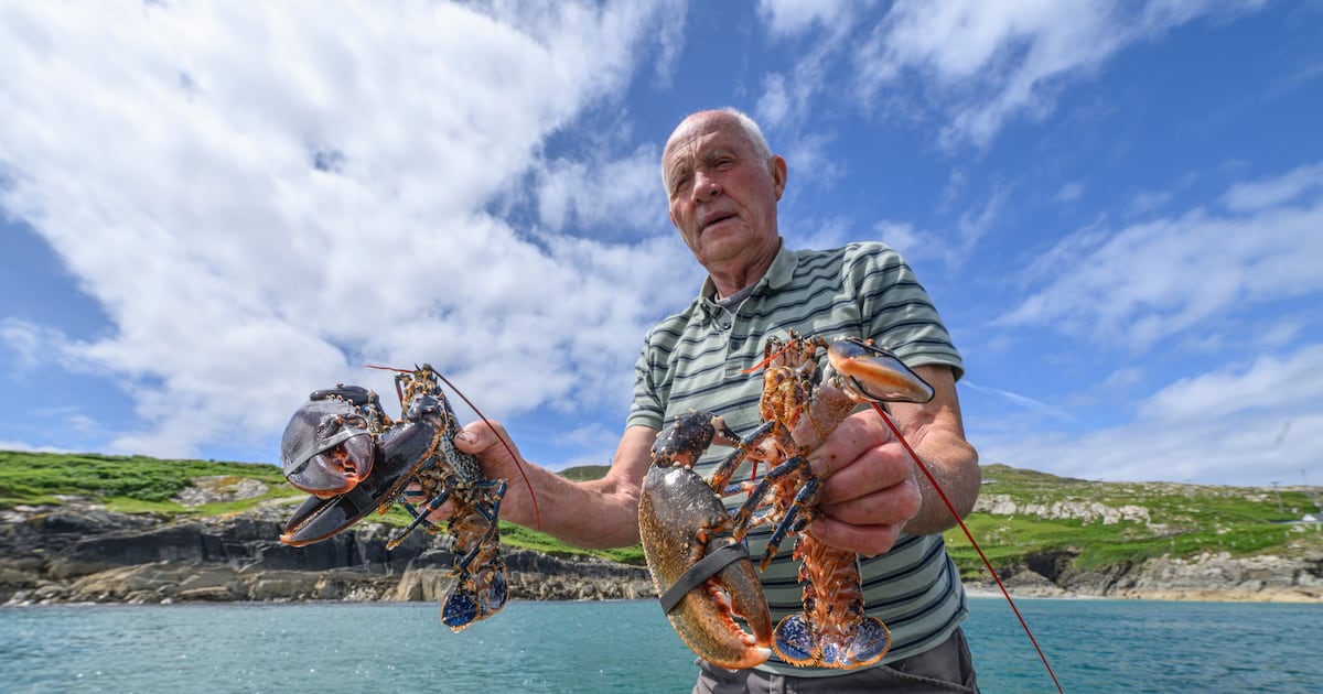 Island-hopping venture unveiled with unique perspective on Ireland’s Atlantic outposts – The Irish Times