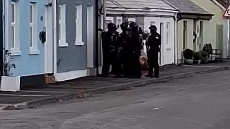 Watch: Man (44) detained on suspicion of firearms offences following arrest in Co Down village