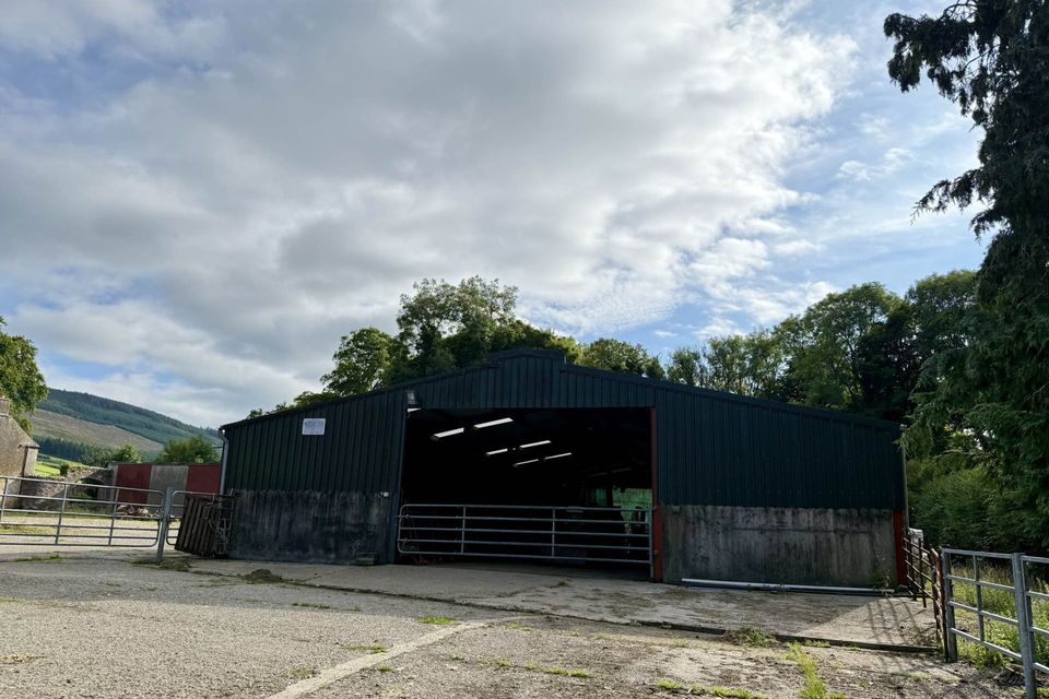 A farmhouse and land in Ballyrory, Gorey will go for sale by auction.
