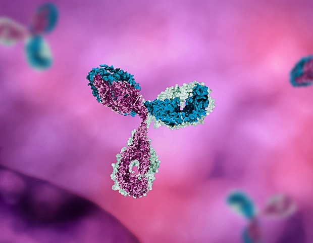 Novel monoclonal antibodies show promise in preventing severe mpox disease