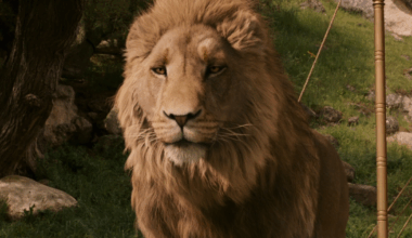Narnia: The Magician’s Nephew Set Photos Give First Look at White Witch - Comic Book Movies and Superhero Movie News