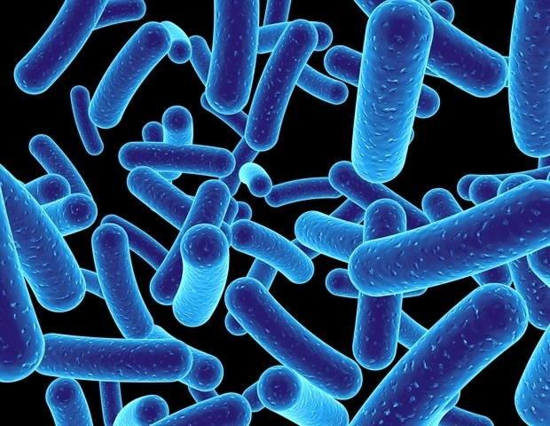 Gut bacteria provide key to identifying colorectal cancer from stool samples