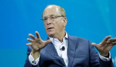 Here's how BlackRock CEO Larry Fink says you can best weather the US retirement crisis