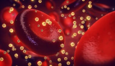 Elevated High-Density Lipoprotein Cholesterol May Reduce Risk of Stress Urinary Incontinence