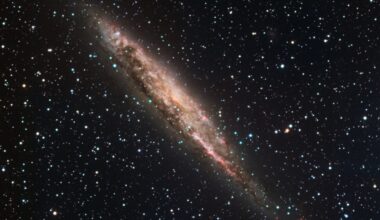 This Bright Dot May Be an Entirely New Type of Space Object