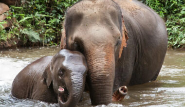 Yahoo lifestyle home