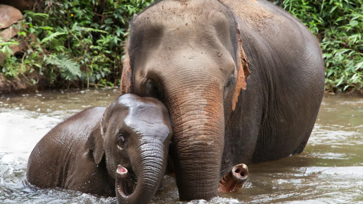 Yahoo lifestyle home