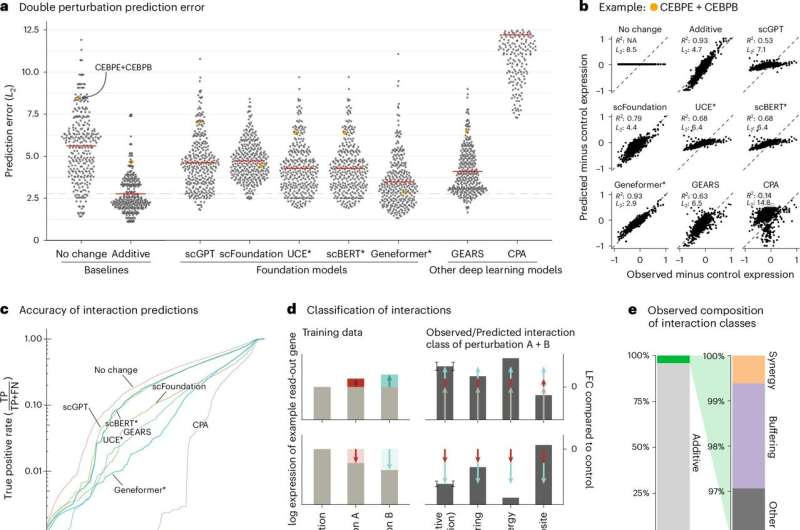 Complex deep learning models are no better at understanding biology than simple baseline models, study finds