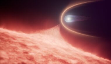 NASA's Hubble Uncovers Rare White Dwarf Merger Remnant