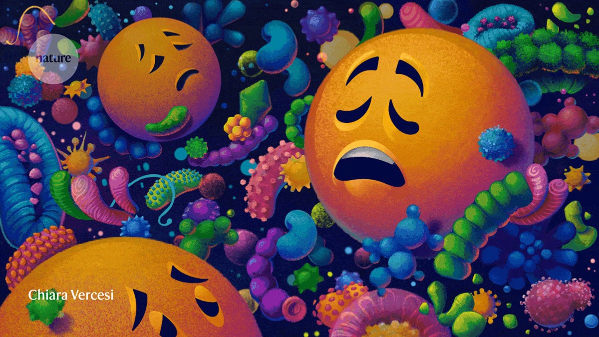 Why nurturing the gut microbiota could resolve depression and anxiety