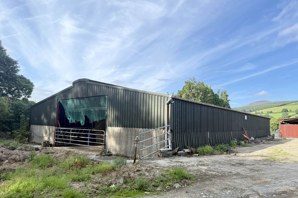 A farmhouse and land in Ballyrory, Gorey will go for sale by auction.
