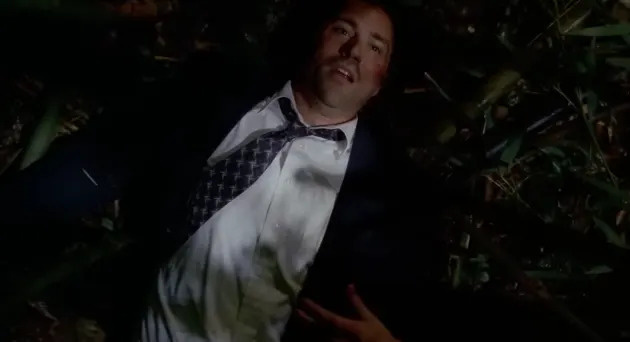 Man in a suit and tie lies on the ground surrounded by foliage, looking up with a calm expression