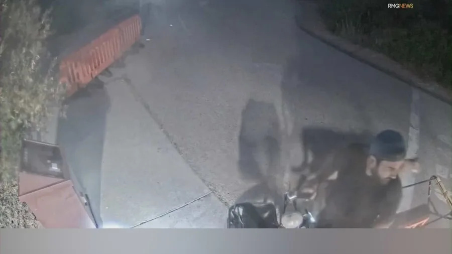 A camper had a very close encounter with a mountain lion in Malibu. Aug. 2025. (RMGNews) 