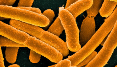 Scientists Have Just Created The Most Synthetic Life Form Ever : ScienceAlert