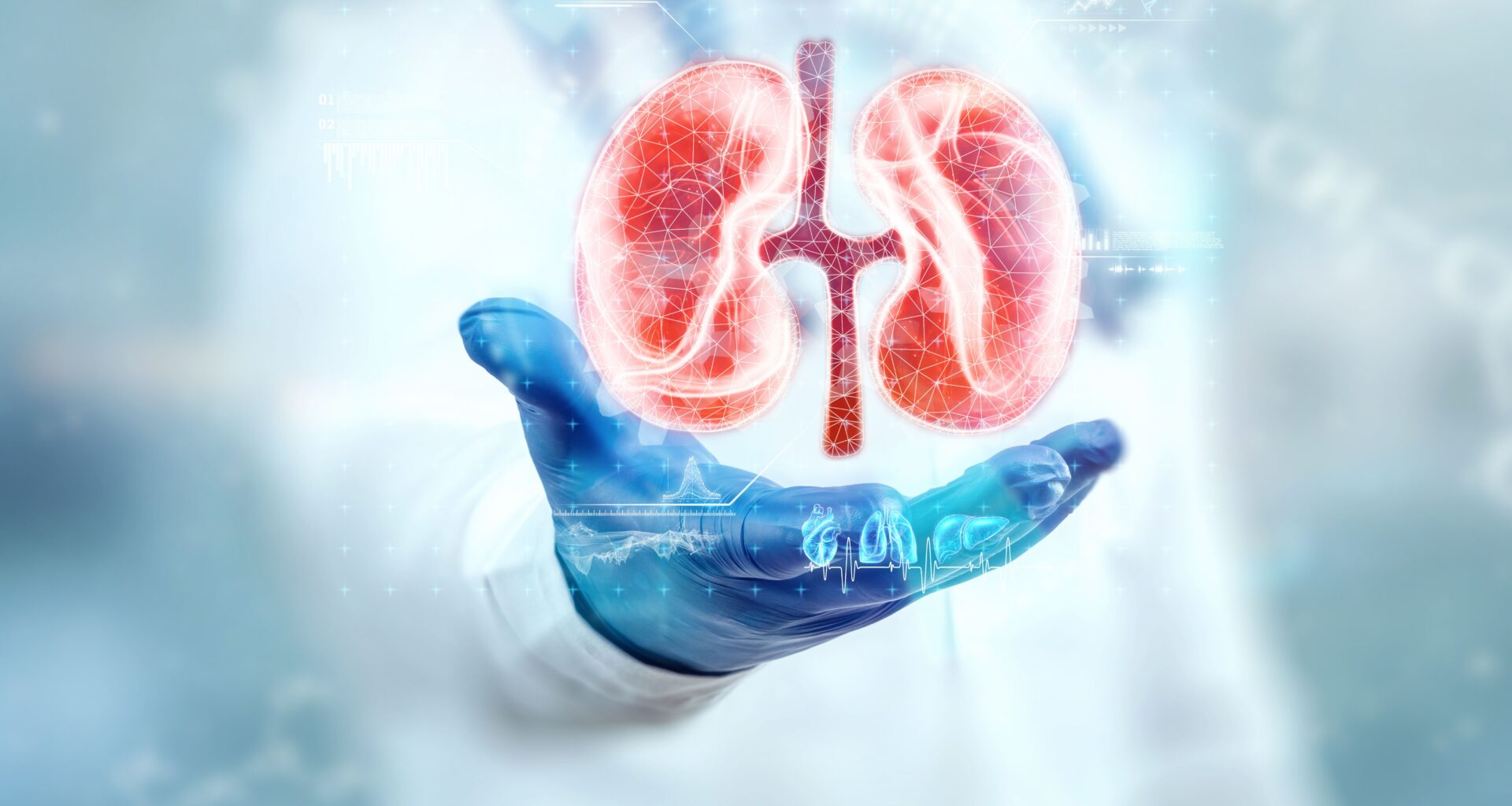Elevated Risk of Kidney Disease Not Linked to Cannabis Use