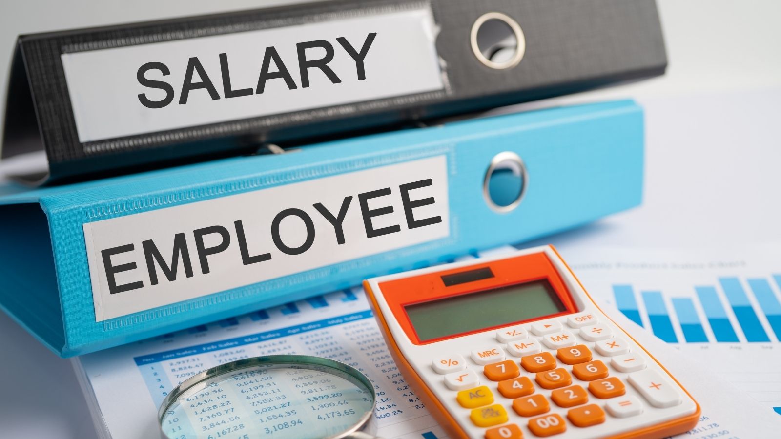 EPF Calculator: Here’s How Rs 5000 Monthly Investment Can Build A Rs 3.5 Crore Retirement Corpus