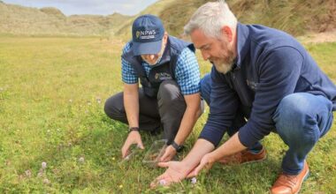 Rare natterjack toads released into the wild in Kerry