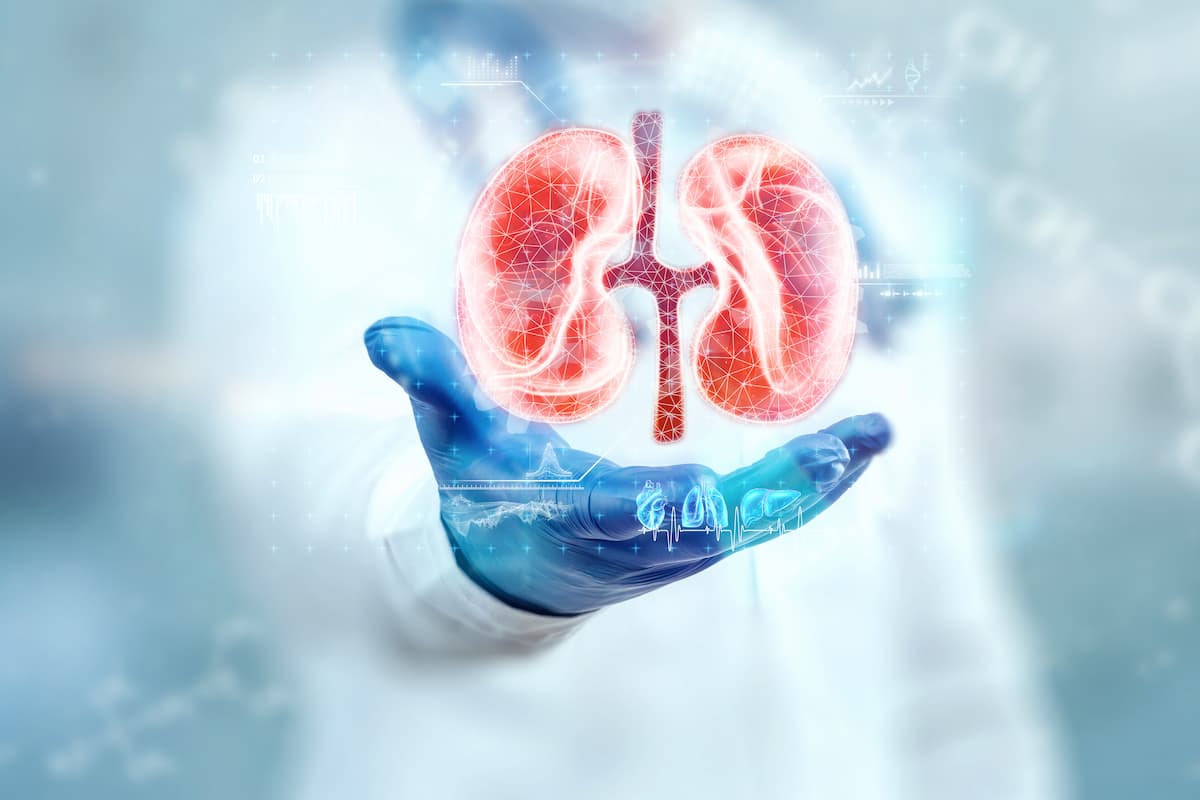 Continuous Metabolic Syndrome Severity Score Linked With CKD Risk