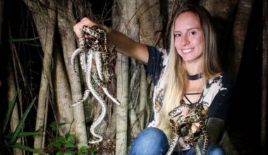 Florida woman catches 60 pythons to win state's annual python challenge