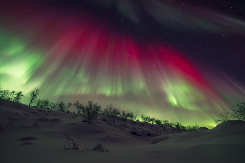 Colorful aurora borealis with green and red lights streak across a starry night sky above a snowy, tree-dotted landscape.