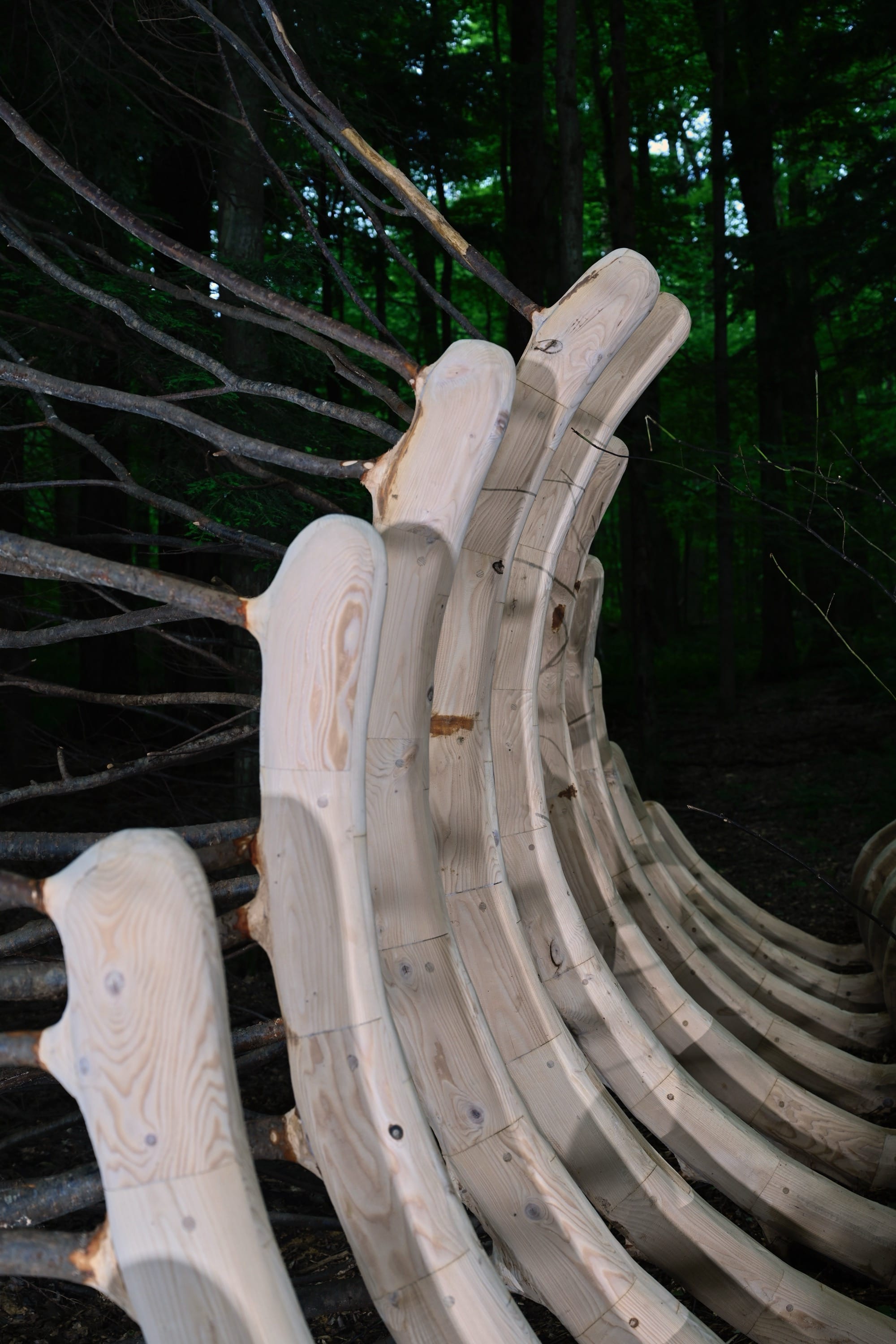 a detail of a sculpture by Hugh Hayden of a giant animal rib cage in the woods