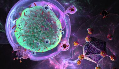 Can CRISPR Help NK Cells Fight Cancer?