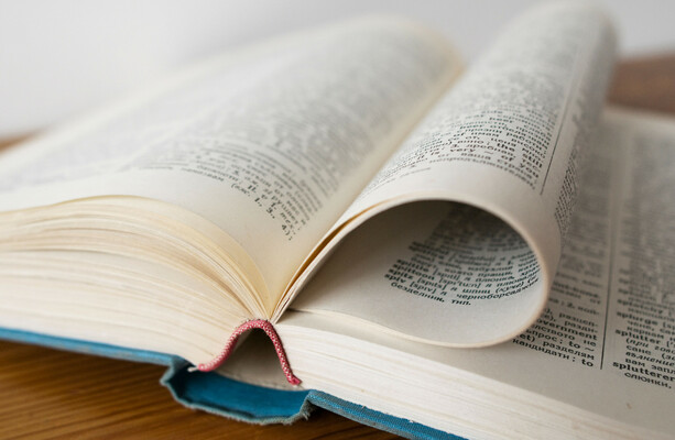 From tradwife to delulu, do you know what these new words added to the dictionary mean?