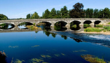 Cork anglers fear up to 46,000 fish dead after ‘disaster’ in local river - The Journal