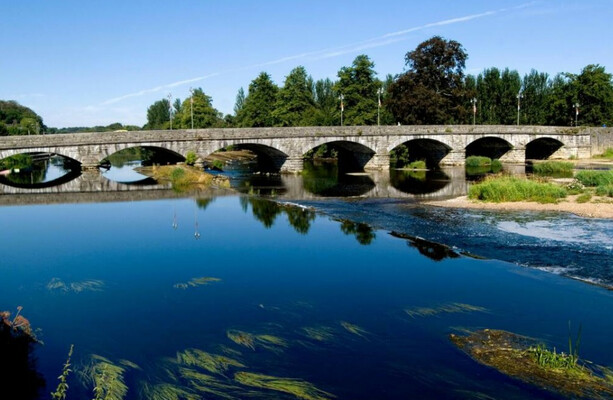 Cork anglers fear up to 46,000 fish dead after ‘disaster’ in local river - The Journal