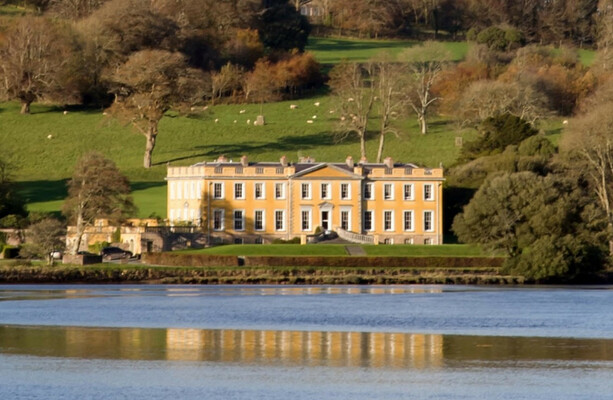 Neighbours of billionaire James Dyson appeal against planned helipad for Co Waterford estate - The Journal