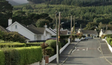 Murder investigation continues in Co Down as victim identified as convicted sex offender - The Journal