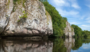 Another fish kill, another shrug: When will Ireland respect its rivers? - The Journal