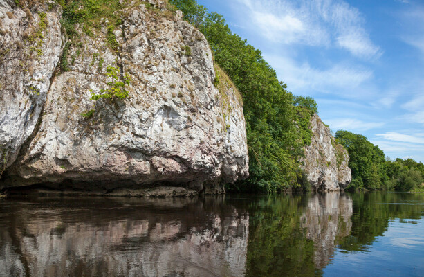 Another fish kill, another shrug: When will Ireland respect its rivers? - The Journal