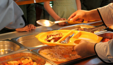 Parents of school children told Hot Meals scheme has been delayed days before school starts