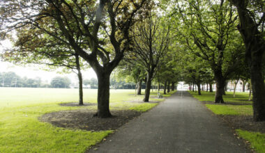 Unsupervised teen charged with stabbing man six times in Dublin park - The Journal