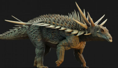 New fossils give palaeontologists picture of one of the 'strangest' dinosaurs ever discovered - The Journal