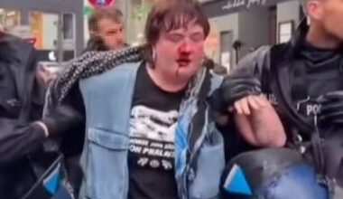 Berlin police ask watchdog to investigate after Irish pro-Palestine activist punched by officer - The Journal