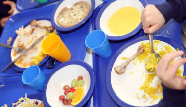 Hundreds of schools may miss out on hot meals scheme over updated food safety rules - The Journal