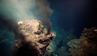 2.6 million-year-old toolkit reveals humans moved diverse stones over substantial distances