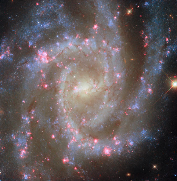 This Hubble image shows NGC 2835, a spiral galaxy some 35 million light-years away in the constellation of Hydra. Image credit: NASA / ESA / Hubble / R. Chandar / J. Lee / PHANGS-HST Team.
