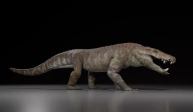 Life reconstruction of Kostensuchus atrox. Image credit: Gabriel Diaz Yanten.